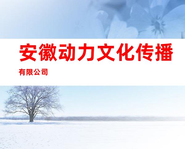 安徽动力文化传播有限公司